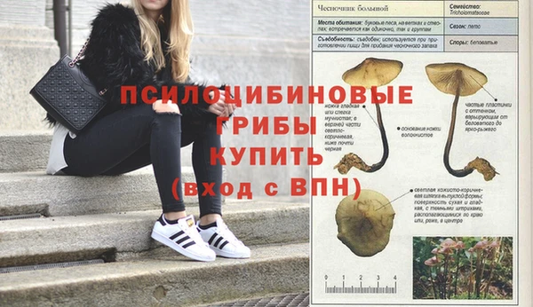 бутират Лиски