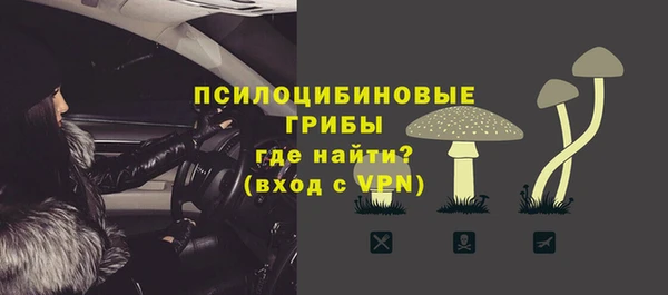 стаф Липки