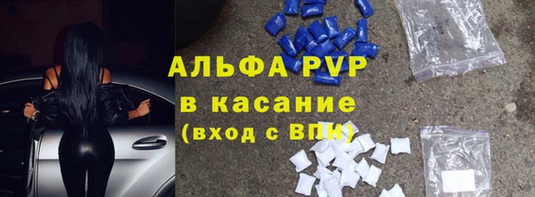 шишки Магас