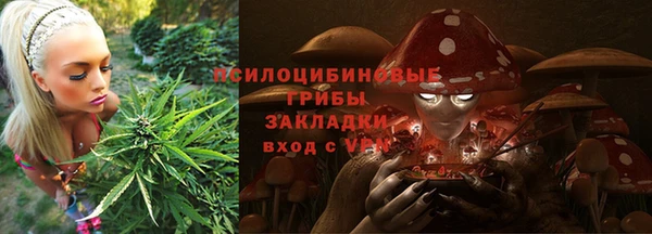стаф Липки